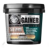 Smart Gainer Smart Gainer 10lb Vanilla Cinnamon